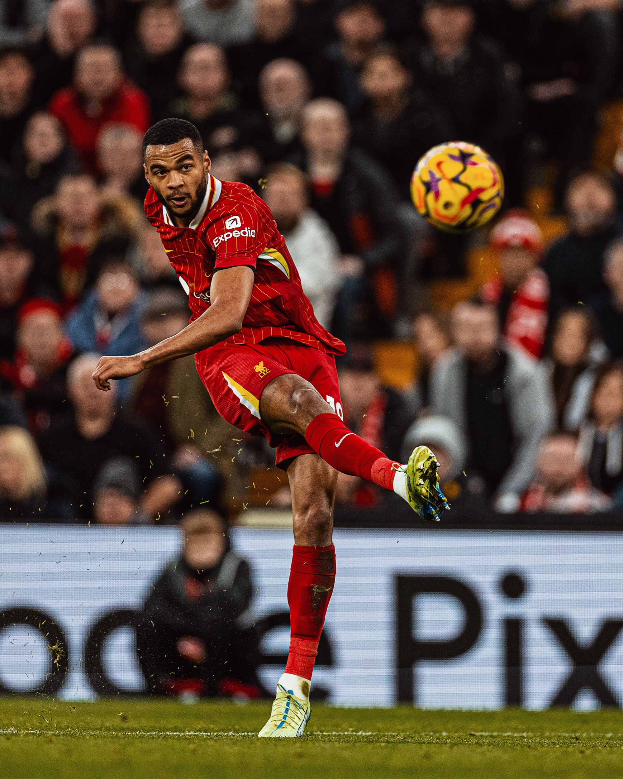 Photography of Cody Gakpo scoring his goal against Brighton.