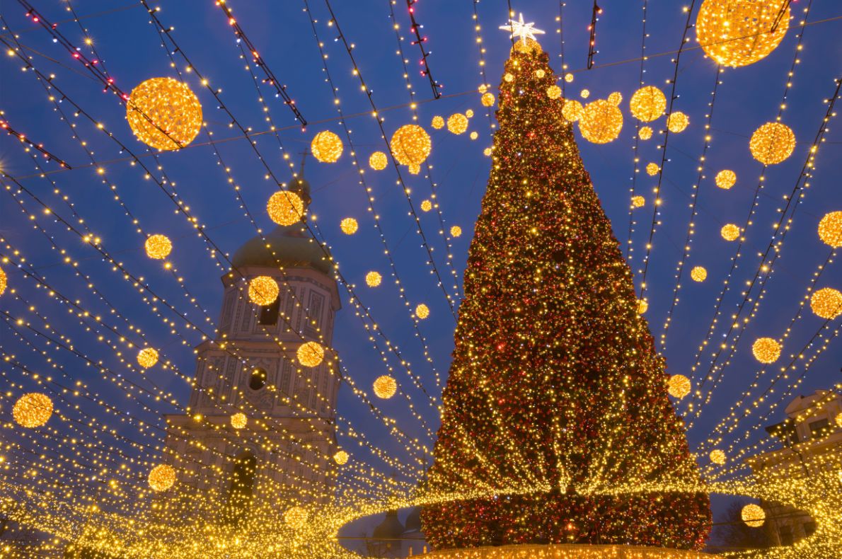 Brasov - Best Christmas Tree in Europe - European Best Destinations