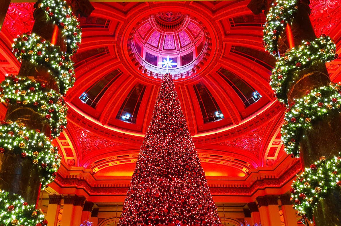 Best Christmas Tree in Europe - Edinburgh Christmas Market - European Best Destinations