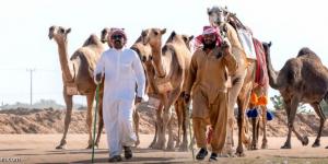 آل رشيد والعجمي والجاسر والشلاحي أبطال الفحل المنتج - جورنالك الرياضي