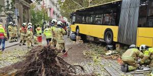 02:29 إصابة 30 شخصًا في حادث سير بألمانيا - جورنالك