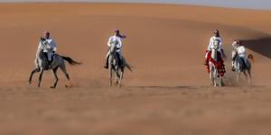 ركوب الخيل.. هواية عربية أصيلة تجذب الشباب في أملج - جورنالك السعودي