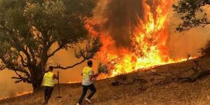 12:09 رجال الإطفاء يسيطرون على حرائق غابات مدمرة قرب لوس أنجلس الأمريكية - جورنالك