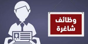 بمرتب 7500 جنيه شهريا.. وظائف خالية لجميع المؤهلات في الإسماعيلية - جورنالك