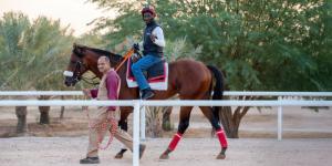 413 مهرا في مزاد سباقات الخيل - جورنالك الرياضي