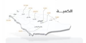 الأمن الغذائي : صرف 261 مليون ريال مستحقات الدفعة السادسة لمزارعي القمح المحلي - جورنالك