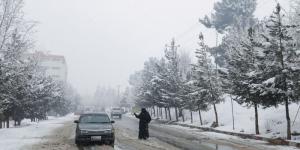 تساقط الثلوج بجبل لبنان يعطل المدارس والمؤسسات - جورنالك السعودي