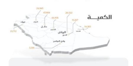 الأمن الغذائي : صرف 363 مليون ريال مستحقات لمزارعي القمح المحلي - جورنالك