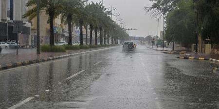 لوحة فنية.. سماء سكاكا تتزين بلمعان البرق وزخات المطر - جورنالك السعودي