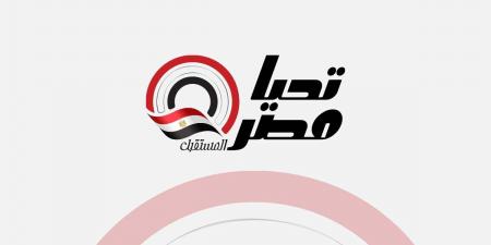 منتخب مصر يختتم تدريباته استعدادا لمواجهة كاب فيردي - جورنالك