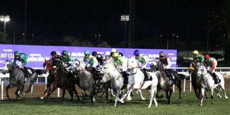 بهوان بطلاً لسباق تحضيري كأس رئيس الدولة للخيول العربية - جورنالك في السبت 04:50 مساءً