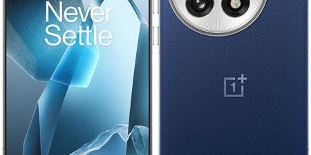 تحديث جديد يمنح OnePlus 13 وضع Macro المميز - جورنالك