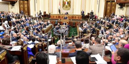 رئيس برلمانية مصر الحديثة:مشروع قانون لجوء الأجانب يخدم جهود حقوق الإنسان بمصر - جورنالك