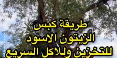 بالفيديو .. طريقة سريعة لكبس الزيتون الأسود - جورنالك