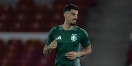 سبب يجبر الأخضر السعودي على الحذر من إندونيسيا - جورنالك الرياضي