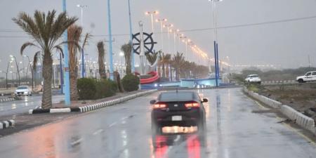 سيول وصواعق رعدية.. "الأرصاد" يصدر تنبيهًا من أمطار غزيرة على الباحة - جورنالك السعودي