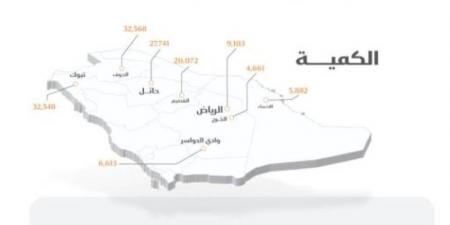 الأمن الغذائي : صرف 261 مليون ريال مستحقات الدفعة السادسة لمزارعي القمح المحلي - جورنالك