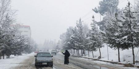 تساقط الثلوج بجبل لبنان يعطل المدارس والمؤسسات - جورنالك السعودي