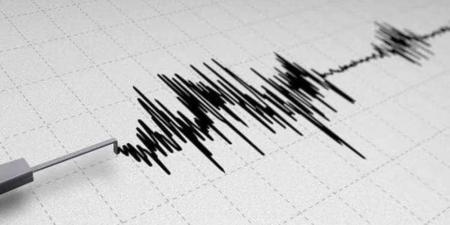 زلزال بقوة 4.6 درجات يضرب جنوب بيرو - جورنالك السعودي