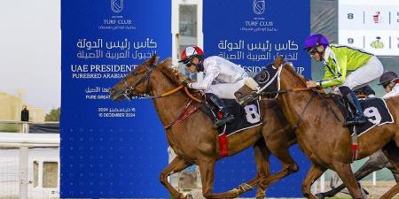 الإعلان عن تذاكر النسخة الـ 32 لأغلى كؤوس الخيول العربية - جورنالك في الجمعة 05:56 صباحاً