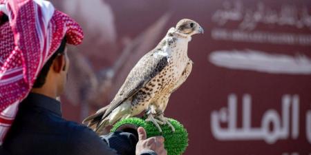 مهرجان الصقور.. نخبة المحليين يتوّجون بـ 12 كأسا - جورنالك الرياضي