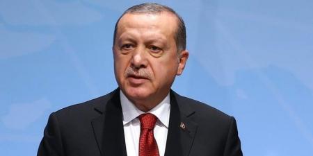 أردوغان: أشكر الرئيس السيسي على استضافة القمة الـ11 لمنظمة الدول الثماني النامية - جورنالك