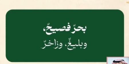 03:09 مسؤول: ‏مجمع الملك سلمان يقدّم جهود كبيرة في تعليم اللغة العربية لغير الناطقين بها - جورنالك