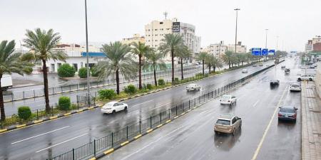 طقس المملكة.. أمطار وصواعق رعدية على المدينة المنورة - جورنالك السعودي