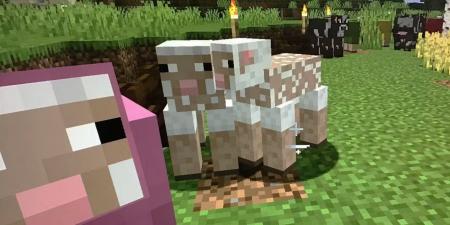 أشياء أساسية يجب على الجميع بناؤها أولاً في Minecraft – الجزء الخامس - جورنالك جيمنج