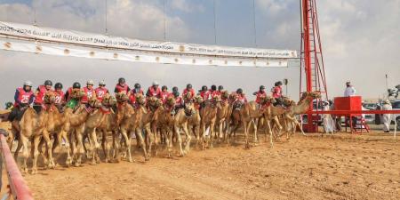 "مضمار اللبسة" يستقبل ماراثون رحلة الهجن ضمن مهرجان محمد بن زايد لسباق الهجن ومزاينة الأبل - جورنالك في الخميس 09:48 مساءً