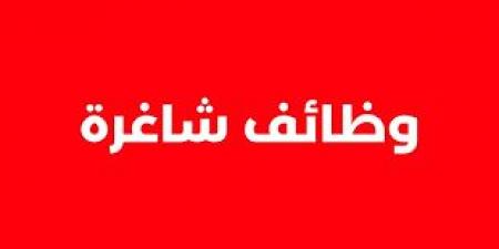 مطلوب موظفين للعمل لدى احدى شركات الاتصالات - جورنالك