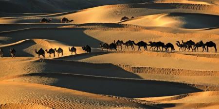 «ملتقى التصوير» في دبي.. رحلات بصرية عامرة بالقصص الإنسانية - جورنالك في الأربعاء 09:50 صباحاً