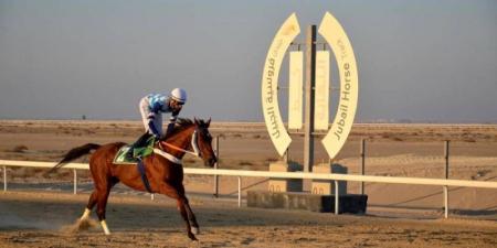 ميدان فروسية الجبيل يقيم سباقه الثامن للموسم الحالي - جورنالك