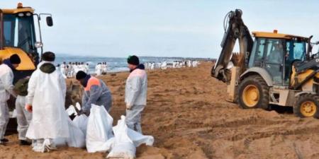 العثور على 30 حوتًا نافقًا في البحر الأسود بعد انسكاب نفطي - جورنالك السعودي