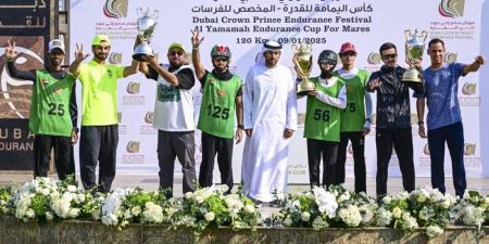 في مهرجان ولي عهد دبي للقدرة.. إسطبلات M7 تنتزع كأس اليمامة - جورنالك في الخميس 11:32 مساءً