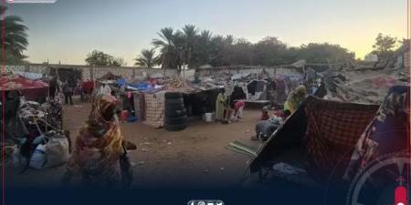 رئيس غرفة طوارئ الكفرة: أكثر من 500 ألف نازح سوداني في ليبيا خلال عام - جورنالك