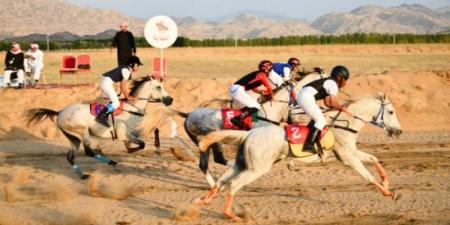 انطلاق سباق الفروسية الخامس بمحافظة الحجرة - جورنالك