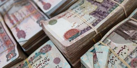 استقرار سعر الدولار مقابل الجنيه المصري في تعاملات اليوم - جورنالك في الأحد 09:03 صباحاً