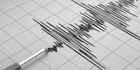 زلزال بقوة 4.8 درجات يضرب وسط إثيوبيا - جورنالك في الأحد 12:16 مساءً