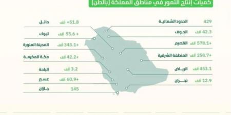 إنتاج المملكة من التمور يقترب من مليوني طن في 2023م - جورنالك