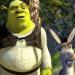 بالصورة- نفوق حمار فيلم "Shrek" الحقيقي عن عمر 30 عاماً - جورنالك الفني