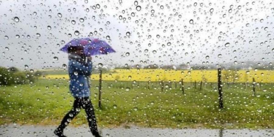 مقاييس أمطار الخير المسجلة بالمملكة خلال 24 ساعة - جورنالك