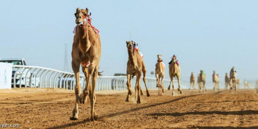 السعودية والإمارات تتصدران تحدي الجذاع - جورنالك الرياضي