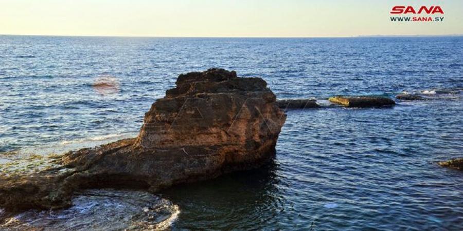 الحرارة أعلى من معدلاتها والجو بين الصحو والغائم جزئياً - جورنالك