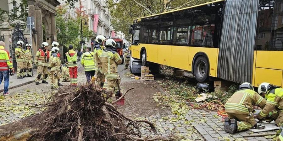 02:29 إصابة 30 شخصًا في حادث سير بألمانيا - جورنالك