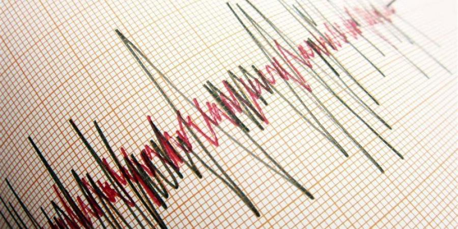 11:10 زلزال بقوة 4.7 درجات يضرب جنوب جزر “كرماديك” - جورنالك