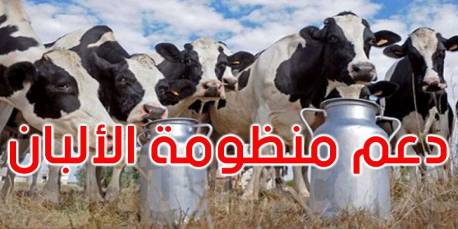 نحو ربط مركزيات الحليب بشبكة الغاز الطبيعي للضغط على كلفة الإنتاج - جورنالك