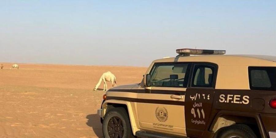 08:56 ضبط مواطن مخالف لنظام البيئة لارتكابه مخالفة رعي في محمية الإمام عبدالعزيز بن محمد الملكية - جورنالك