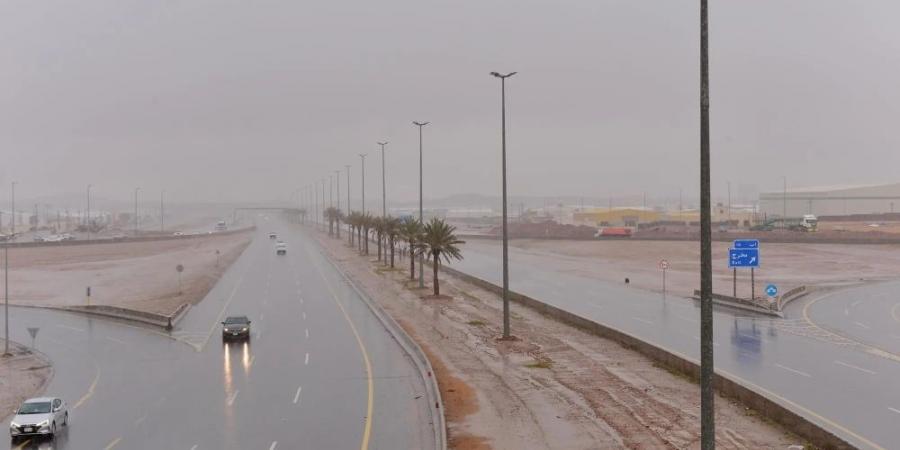 أمطار ورياح وأتربة.. ظواهر جوية متعددة على الشرقية - جورنالك السعودي