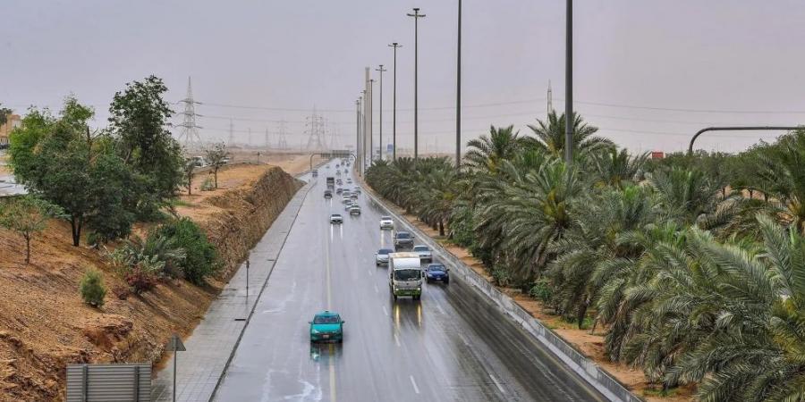 أمطار وأتربة.. "الأرصاد" يوضح حالة الطقس على الرياض - جورنالك السعودي